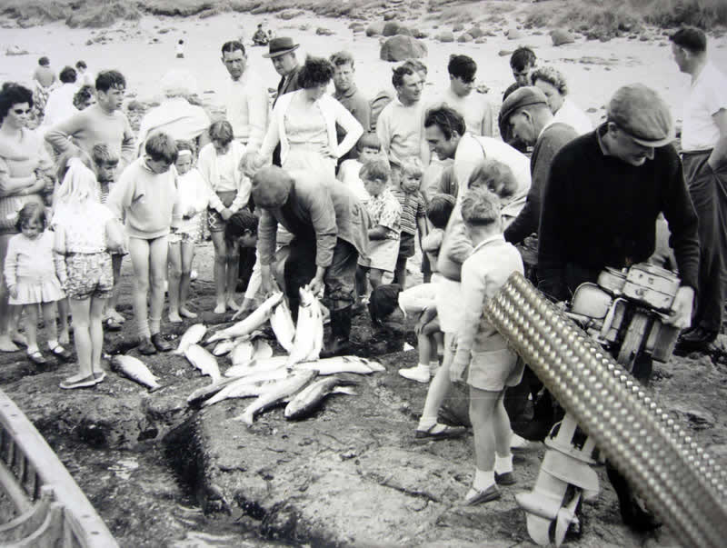 Photograph at Portballintrae