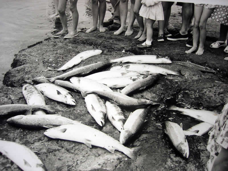 Photograph at Portballintrae