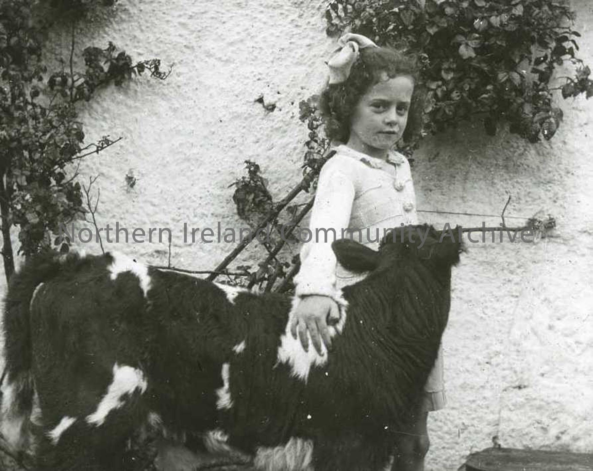 Girl and calf – Lammas Fair as titled by Sam Henry