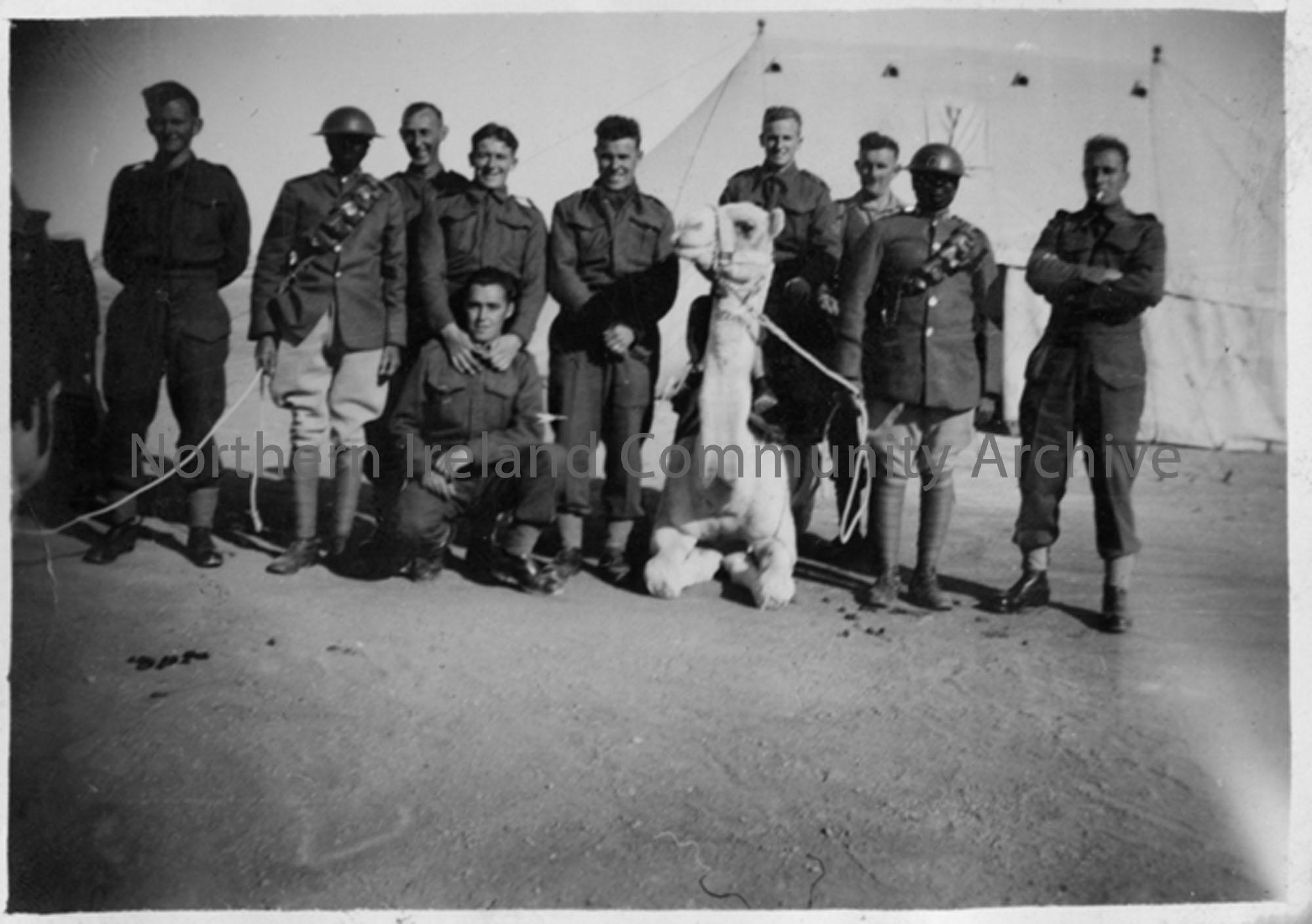 Battery Group and Sudanese Camel Corps