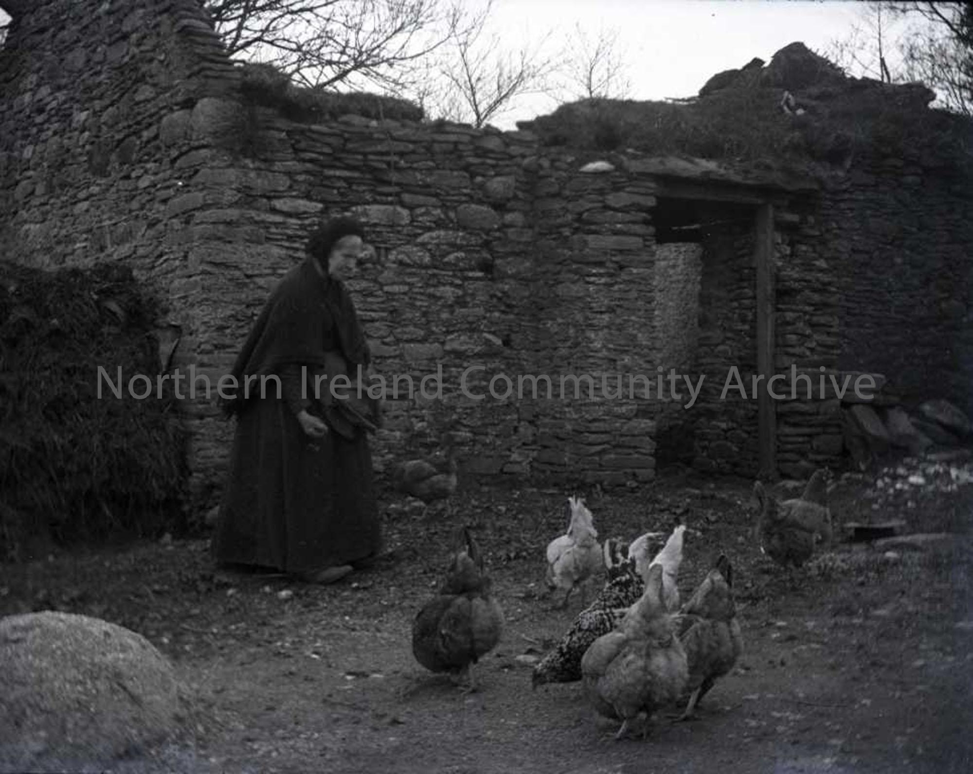Lady feeding chickens