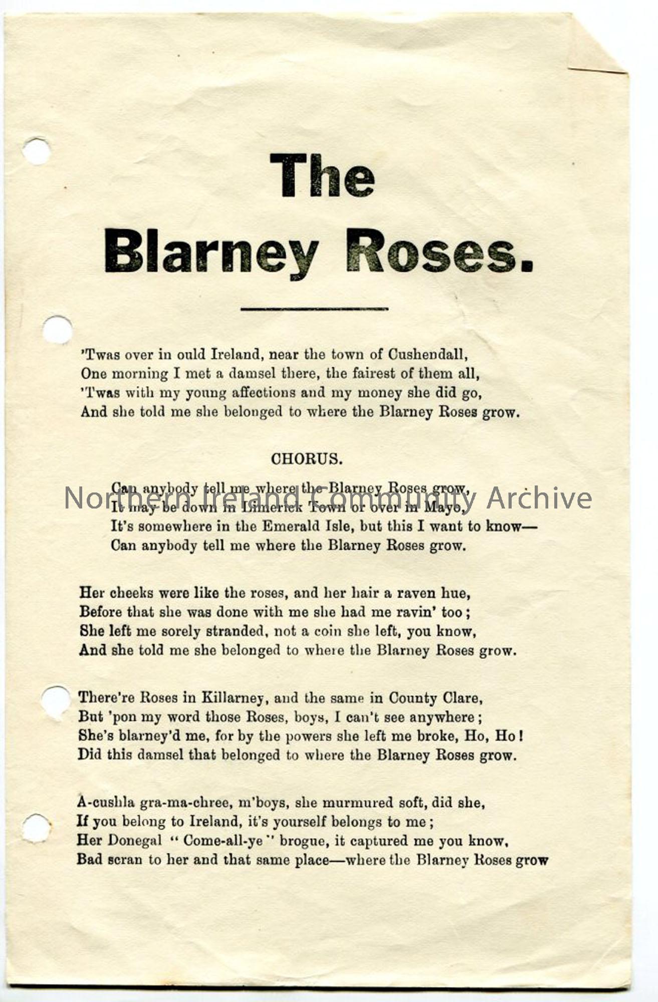 ‘The Blarney Roses’