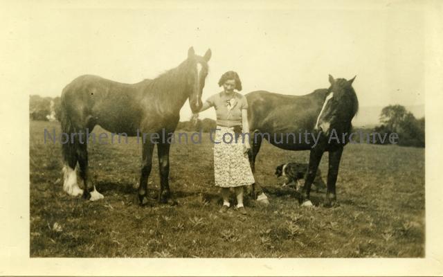 Bay Mare and Foal 1939