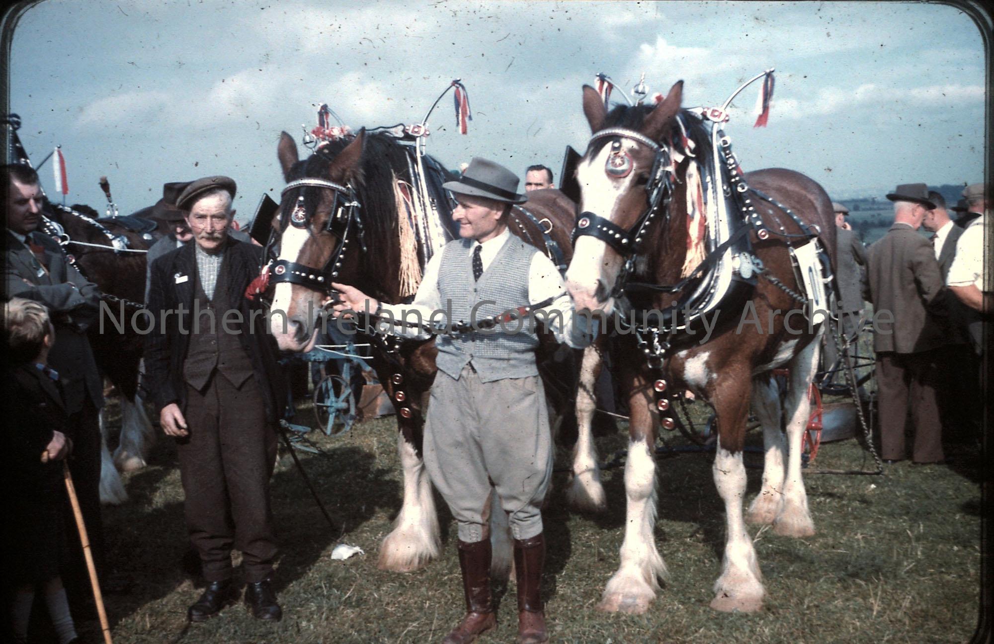 International ploughing match, 1959- two horses