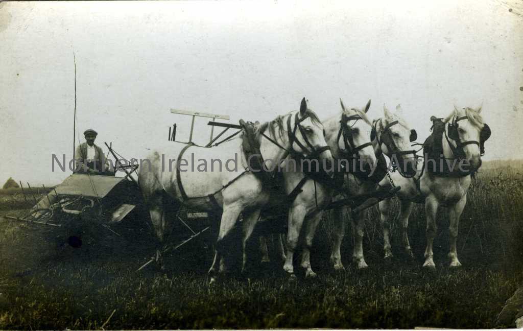 Black and white postcard with four horses pulling farming machinery which a man sits on. Handwritten message in French on the reverse.