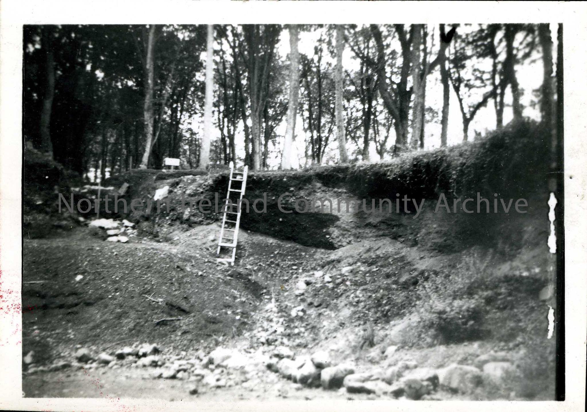 Small black and white photograph of Somerset, Coleraine. Shows a bank with a ladder against it, and trees behind. Written on the back of the photograp…