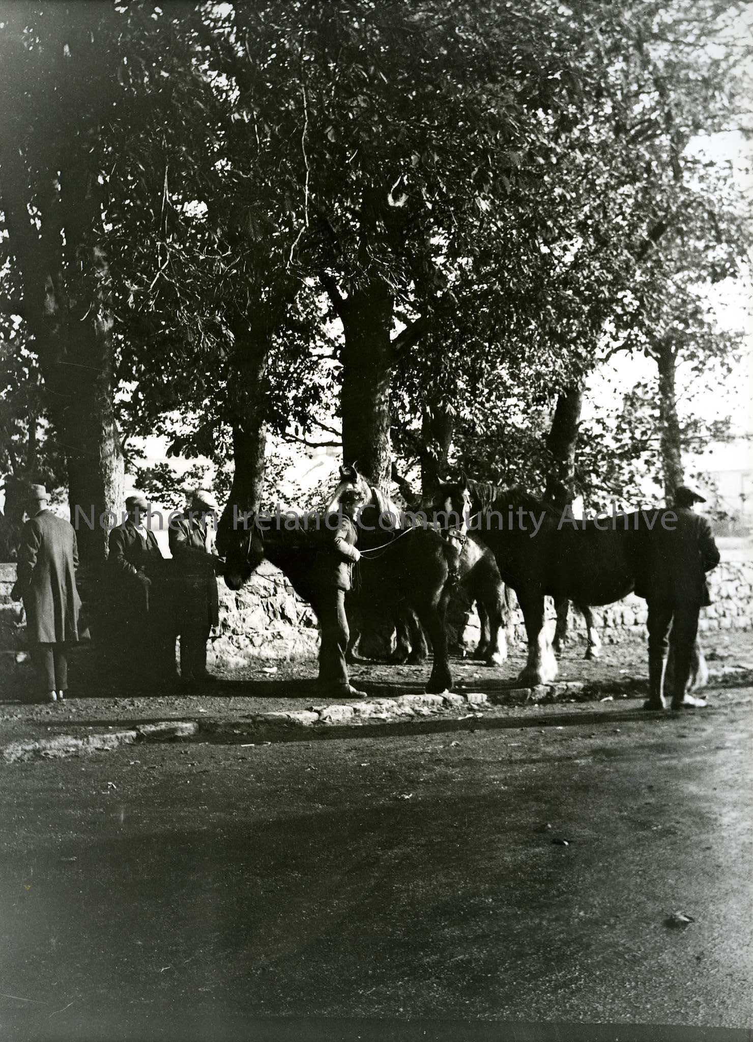 Printed black and white photograph – Men standing on a road edge with horses.