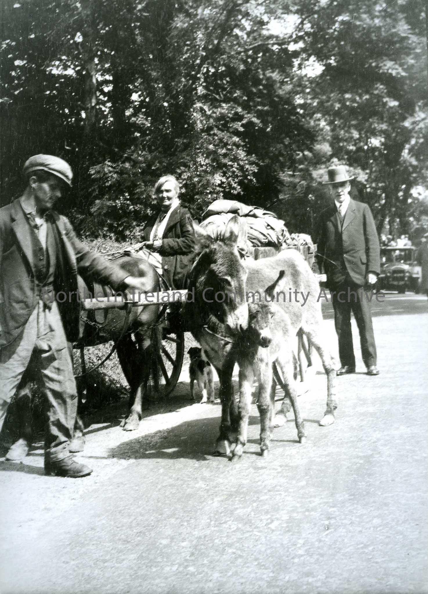 Printed black and white photograph – Woman and man stand with cart and donkeys. A well dressed man stands behind them.