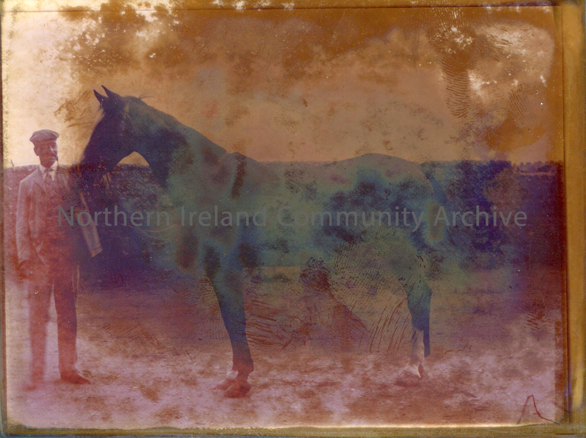 Photograph or copy of a man standing with a horse.