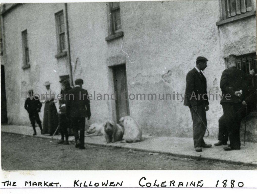 The Market, Killowen, Coleraine, 1880 (3685)