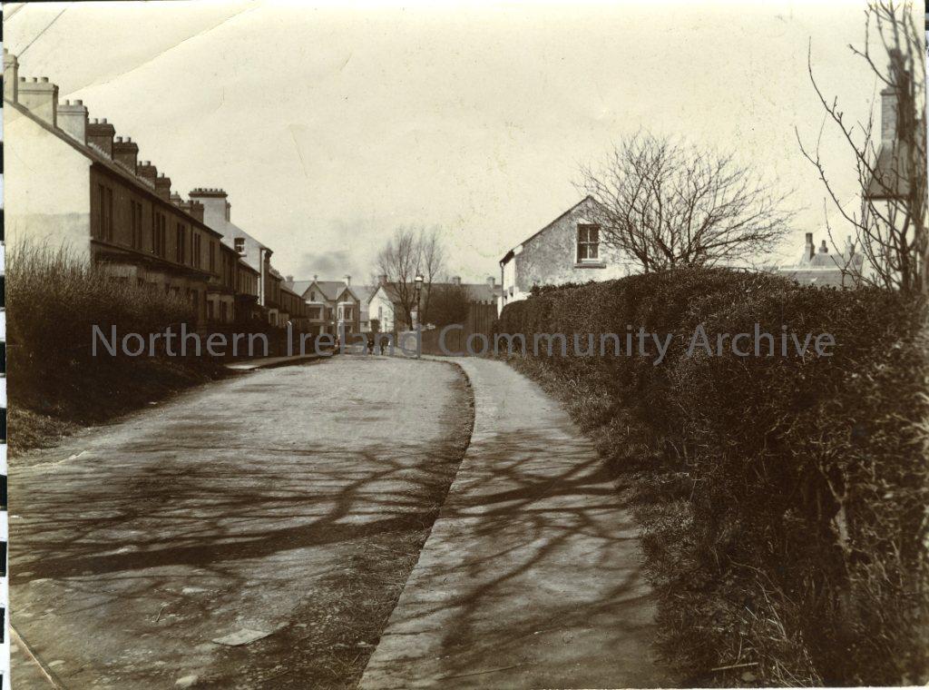 Black and white photograph Nursery Avenue, Coleraine (5513)