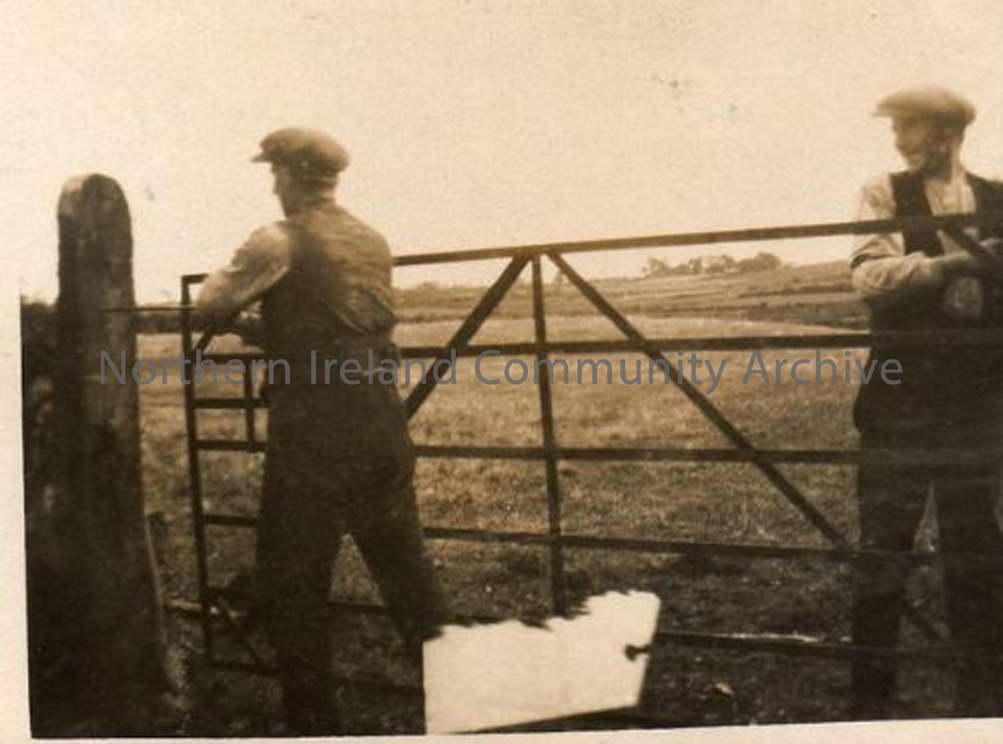 Willie and Jim Smyth at Flushlands Farm, Stroan (2661)