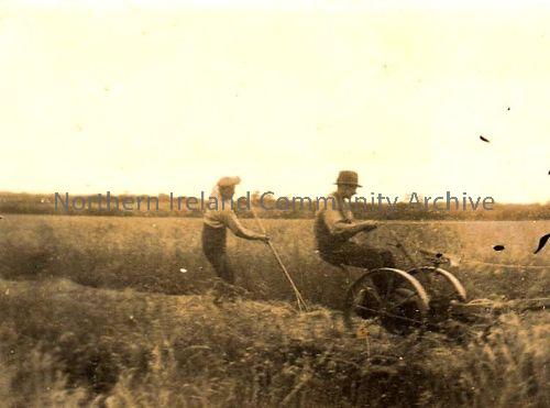 Willie Smyth and Willie McKay at Flushlands Farm, Stroan (5347)
