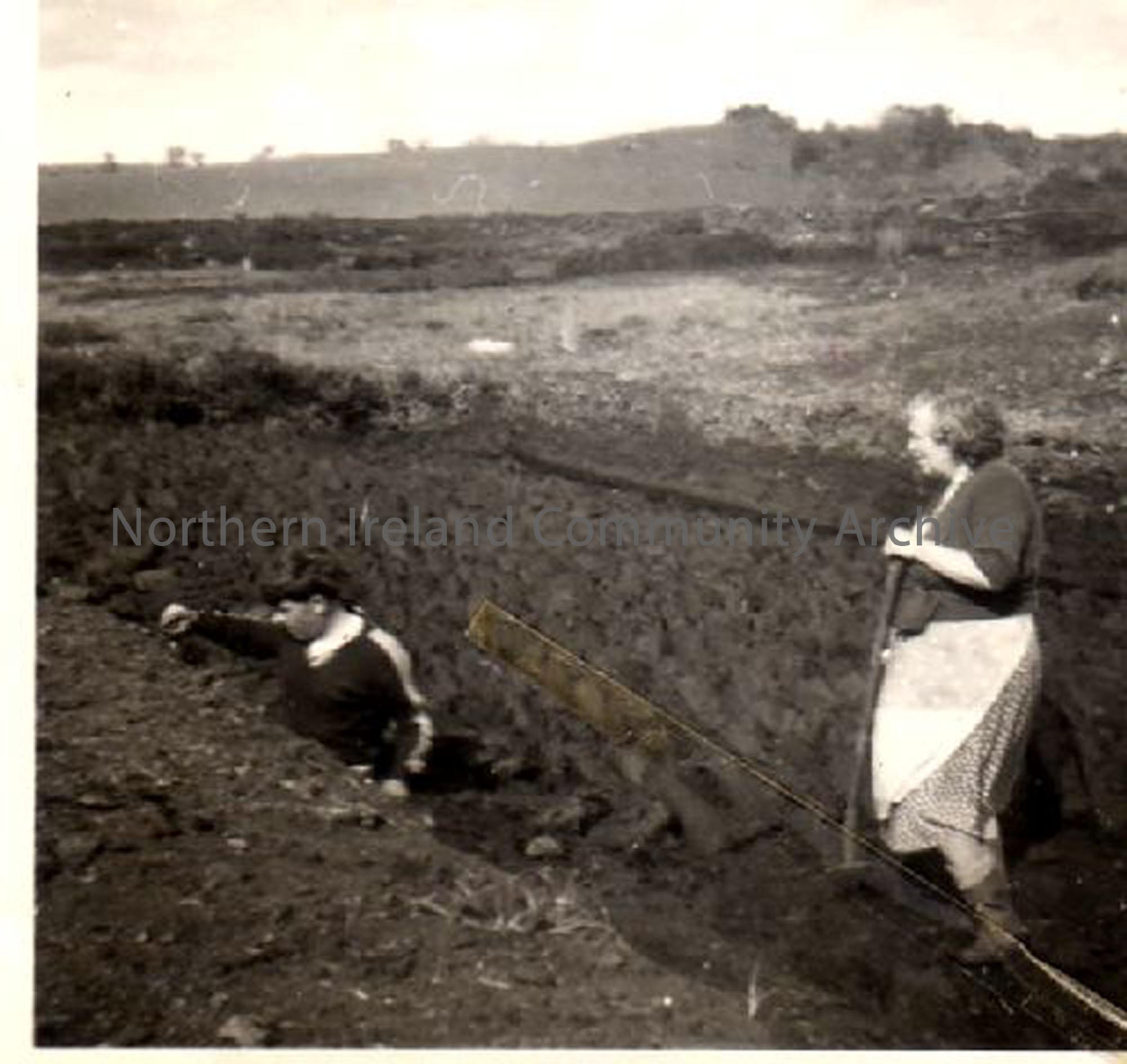 Hamilton family working in Carncullagh moss (5448)