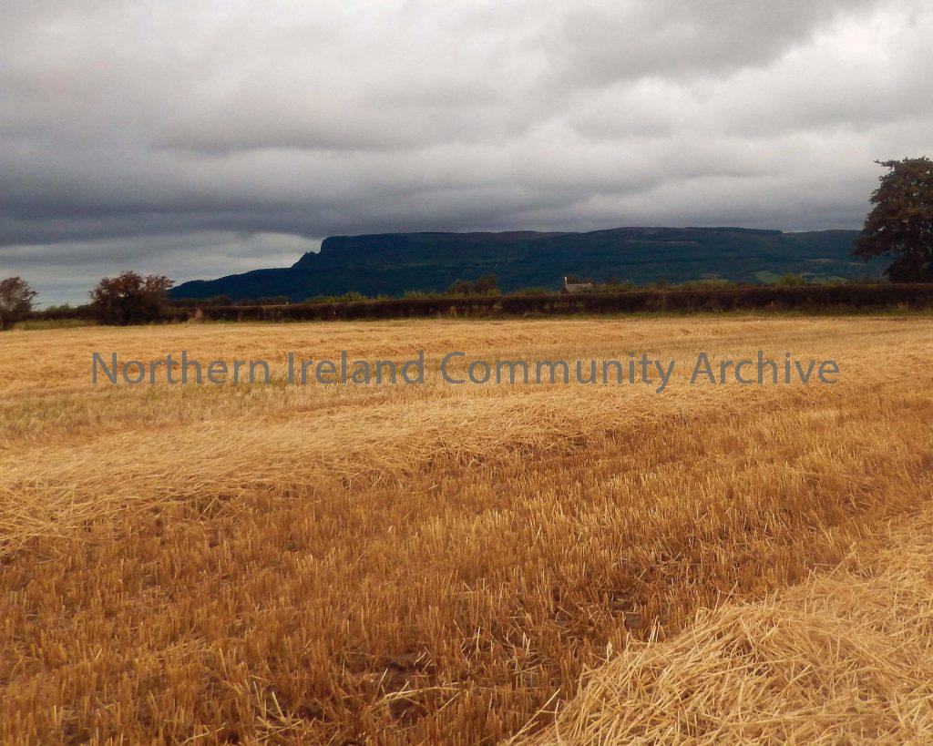 Binevenagh and the fields of gold By Mark Irwin