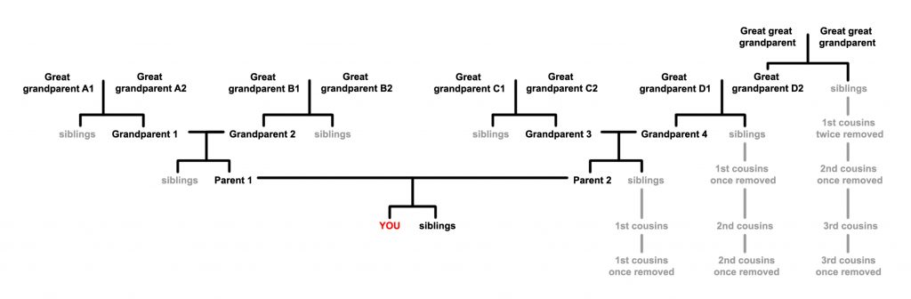 Who Do You Think You Are Unknown Family Members And Dna Colour Clustering Ni Archive