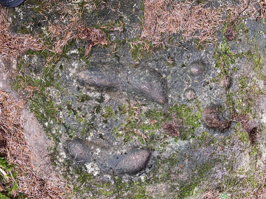 Photograph of Gortnamoyagh Inauguration Stone showing footprints.