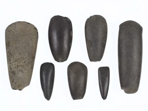 Neolithic polished stone axeheads from the Ballymoney Museum collection.