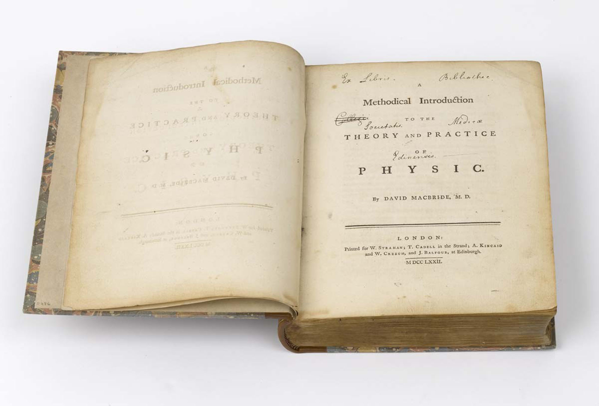 Macbride experimental essay 06 picture