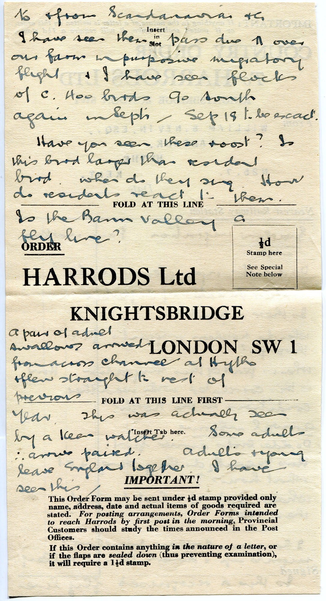 Handwritten questions re Swallow migration. Handwritten onto an order ...