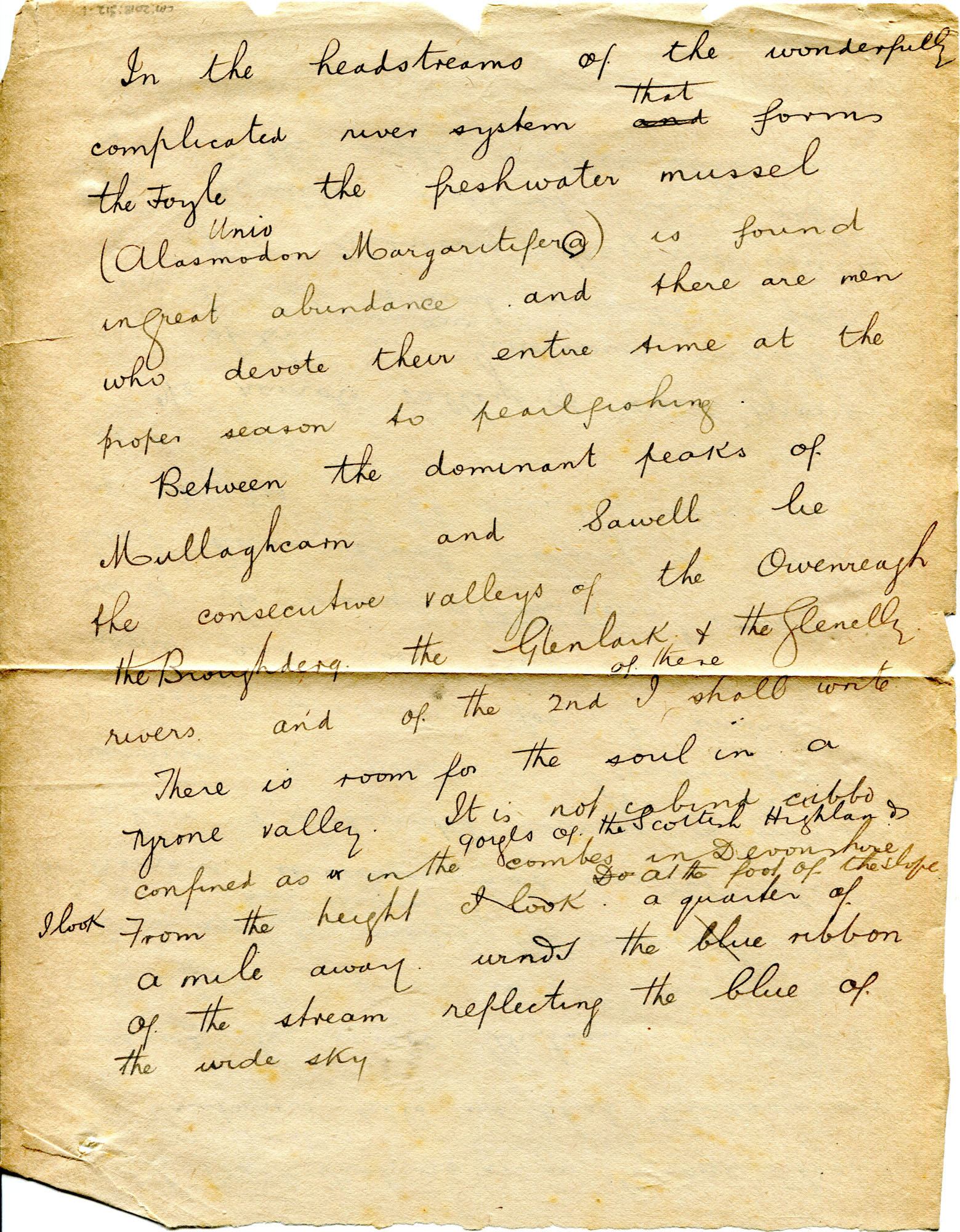 Handwritten Rough Draft Page 1 of 4. Handwritten, rough draft of an essay titled, ‘Pearl ...