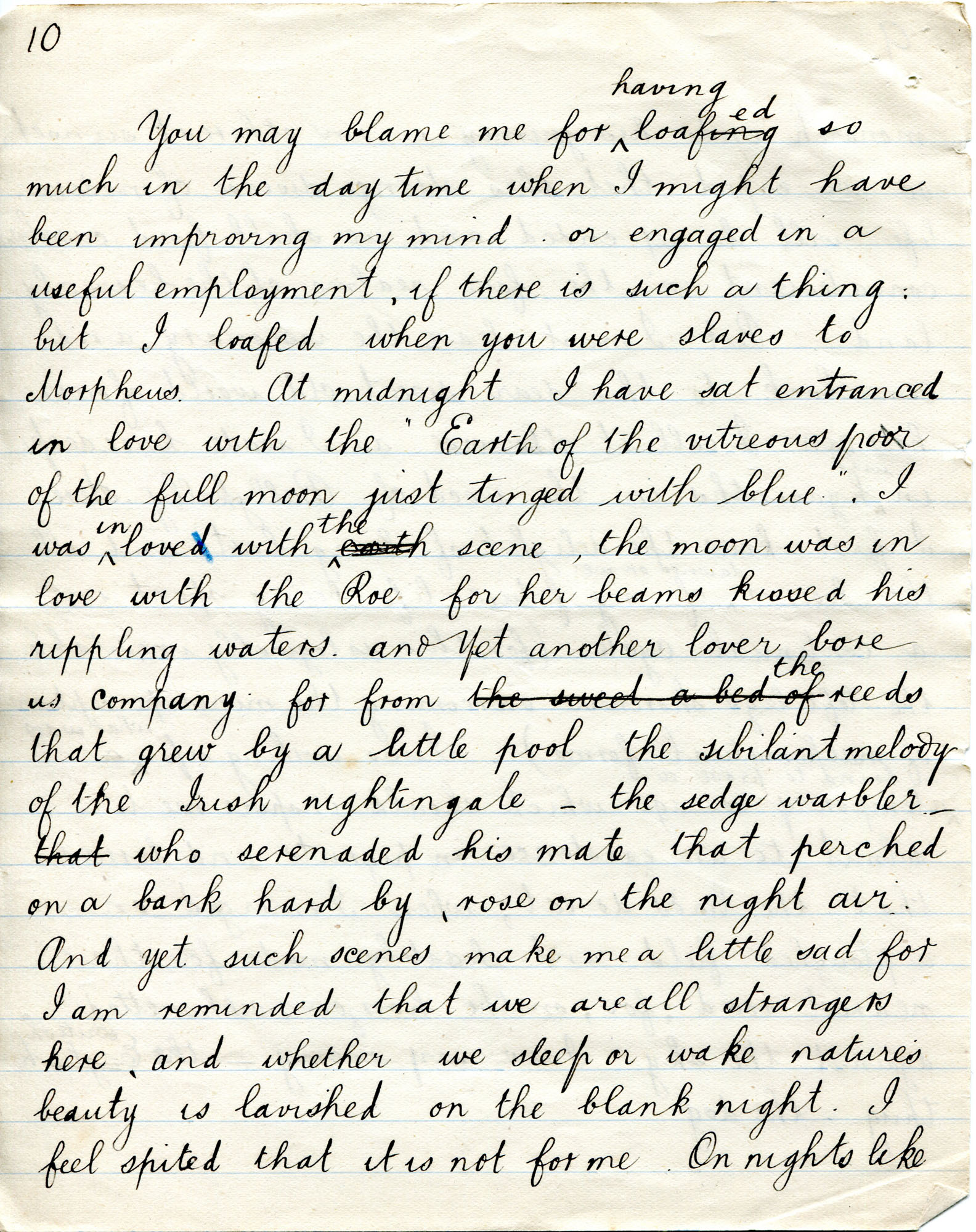 Essay ni zehender 08 image